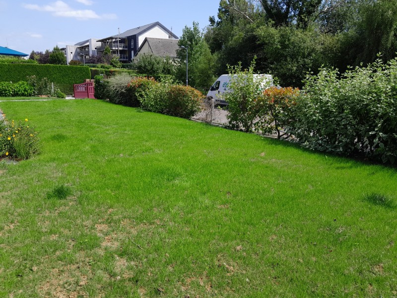 engazonnement chez un particulier a Yvetot