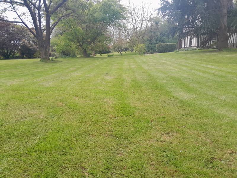 trouver un paysagiste pour l'entretien régulier de votre jardin à Yvetot 