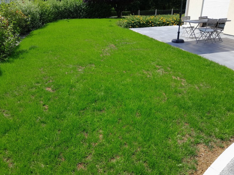 engazonnement chez un particulier a Yvetot