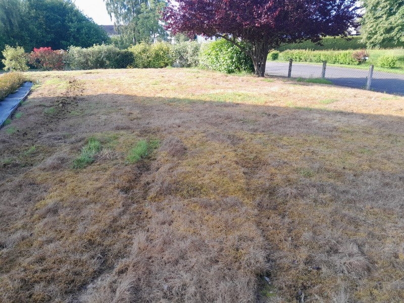 engazonnement chez un particulier a Yvetot