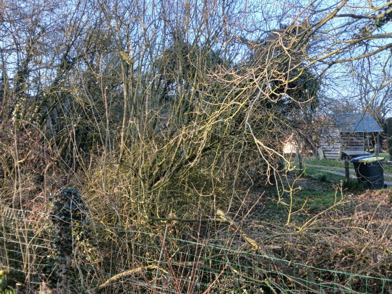 remise en état d une propriété