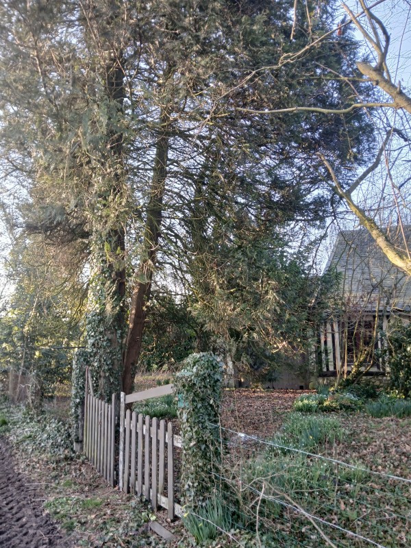 remise en état d une propriété